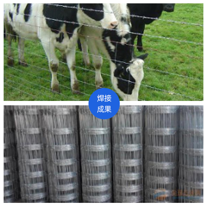 草原網、牛欄網